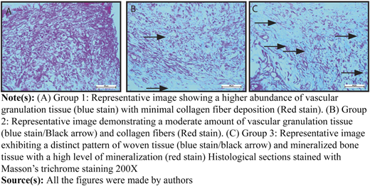 Figure 3 Refer to the image caption for details.