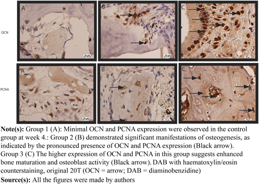 Figure 4 Refer to the image caption for details.