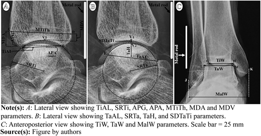 Figure 1 Refer to the image caption for details.