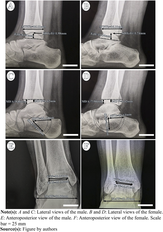 Figure 2 Refer to the image caption for details.