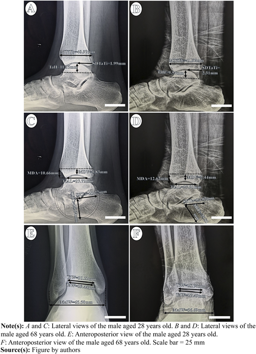 Figure 3 Refer to the image caption for details.