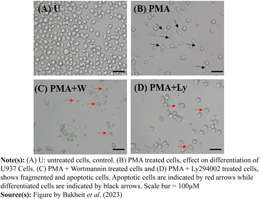 Figure 1 Refer to the image caption for details.