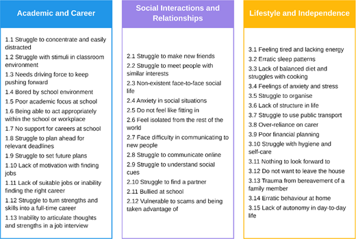 Three categories list challenges concerning academic and career development, social interactions and relationships, and lifestyle and independence, with numbered items under each category.