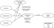 Conceptual framework. Source(s): Authors’ own work