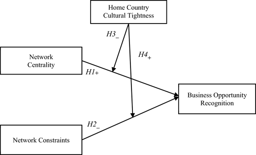 A conceptual model links network centrality and network constraints with business opportunity recognition, moderated by home country cultural tightness.