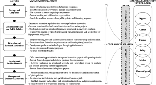 A flow diagram showing actors, management practices, and ecosystem elements across stages of entrepreneurial development.