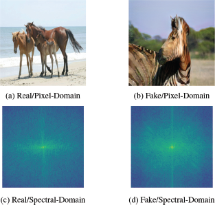 An illustration shows two rows of images. The top row has two color photographs: (a) Real/Pixel-Domain shows two adult horses and two foals on a beach, and (b) Fake/Pixel-Domain shows a close-up of a zebra’s head and neck in a field. The bottom row has two corresponding spectral-domain images: (c) Real/Spectral-Domain and (d) Fake/Spectral-Domain, which are abstract representations of the images above them, appearing as a bright central crosshair against a teal background.