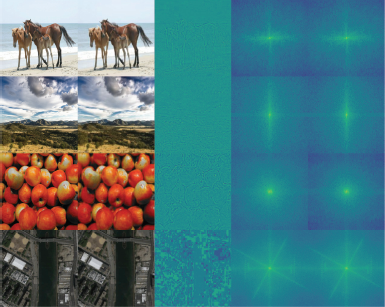 An illustration shows a five-column grid with five rows of images, with each row displaying related visual information across the columns.