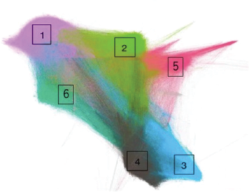 A drawing of a bird featuring four distinct squares integrated into its design.