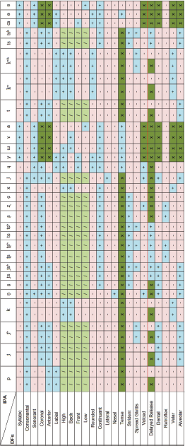 A detailed chart illustrating various categories and types, emphasizing their distinctions and relationships.