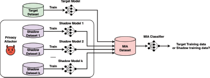 A flow diagram of a Membership Inference Attack.
