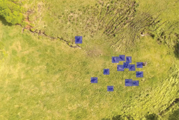 An aerial photo of a patch of green and brown grassy land with multiple rectangular overlays on areas of disturbed ground, likely identifying animals or objects.