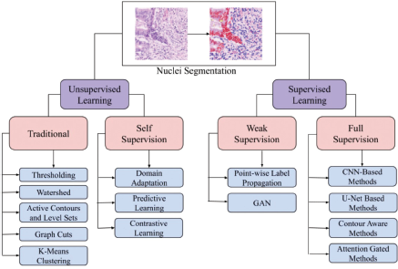 A hierarchical diagram of Nuclei Segmentation methods.