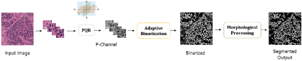 A flow chart illustrating the image segmentation process.