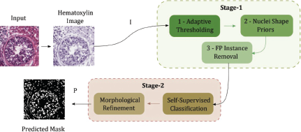 A flow chart illustrating the proposed two stage segmentation method.