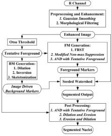 A flow chart showing a method for image segmentation.