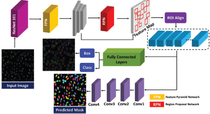 A block diagram of a Mask R C N N type network showing Input Image processing through R e s N e t one zero one, F P N, R P N, R O I Align, and Fully Connected Layers to produce a Predicted Mask.