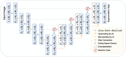 A simplified diagram of an Attention Gate U-Net architecture is shown, with an encoder and decoder path connected by Skip Connections and Attention Gate modules, processing an Input Image into a Segmentation Map.