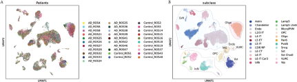 A figure with two U M A P plots, one showing cell embeddings colored by individual patient and the other showing the same embeddings colored by cell subclass.