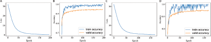 A figure with four line plots, labeled A through D, illustrating the training dynamics of two models.