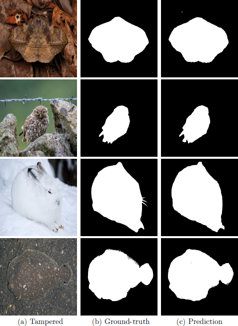 A grid of twelve images arranged in four rows and three columns. Column (a) Tampered shows photographs of four animals: a moth on leaves, an owl on rocks and barbed wire, a rabbit in snow, and a flatfish on sand. Column (b) Ground-truth shows the binary mask for each animal against a black background. Column (c) Prediction shows the predicted binary mask for each animal against a black background. The four rows show four different examples.