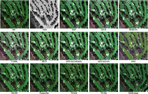 An image showing a three row and five column grid of image results from different methods, all displaying a top down view of a golf course or wooded area with diagonal green strips and a path, except for the P A N image which is grayscale.