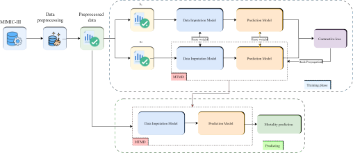 A technical flowchart showing a two-phase machine learning pipeline a Training phase utilizing data augmentation, a Data Imputation Model, and a Prediction Model with weight sharing and contrastive loss; and a Predicting phase that uses the trained MTMD Multi-Task Model Design for final mortality prediction.