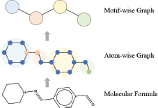 A diagram illustrates the conversion of a Molecular Formula structure into an Atom-wise Graph which is then converted into a Motif-wise Graph, with gray arrows indicating the upward progression.