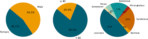 A diagram shows three separate pie charts illustrating demographic data.