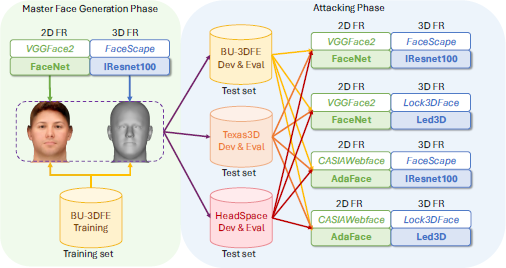 A technical flowchart detailing the Master Face Generation Phase and the Attacking Phase across multiple 2D and 3D face recognition models e.g., FaceNet, IResnet100 using datasets like BU-3DFE and Texas3D.
