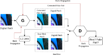 A diagram shows a Digital Patch image feeding into a generator G. G’s output, a Generated Fake Pair, and a Real Pair (Real P and S Patch image, Digital Patch image) are fed via a switch to a discriminator D. D’s output is Real slash Fake Pair question mark. Back Propagation arrows connect D’s output to D, to G, and to L one Loss, which also connects to G and the Real Pair.