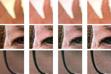 An image array showing three rows and four columns of cropped photographs.