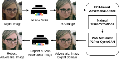 A flow diagram shows a Digital Image passing through Print and Scan to become a P and S Image. This P and S Image is processed by an E O T hyphen based Adversarial Attack box, which contains Natural Transformations and a P and S Simulator P 2 P or Cycle G A N, resulting in an Adversarial Image Digital Domain. This domain is then passed through Reprint and Scan Adversarial Image to yield a Robust Adversarial Image.