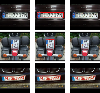 An image array showing three rows, each with three photographs of vehicle license plates.