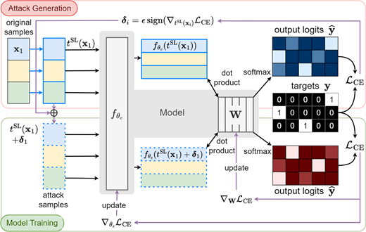 A workflow diagram combines attack generation and model training using transformed samples, attack samples, model outputs, target labels and cross-entropy loss.
