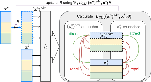 A workflow diagram updates delta using contrastive loss between adversarial x a and x b, with encoded representations attracting matching samples and repelling others.