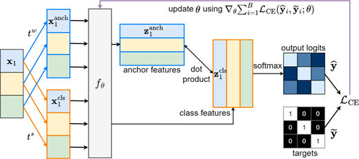 A workflow uses weak and strong transformations to generate anchor and class features, calculate output logits and cross-entropy loss, and update theta.