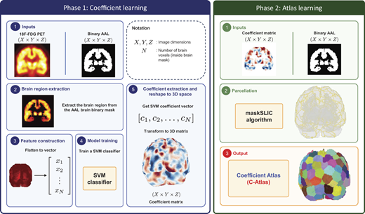 A two-phase workflow learns brain voxel coefficients from PET and A A L inputs, then creates a coefficient atlas through parcellation.