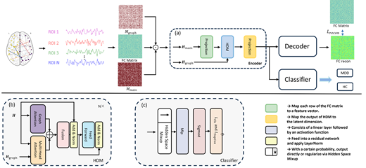 A diagram of an f M R I functional connectivity model with encoder, decoder, H D M module, and classifier for M D D and H C prediction.