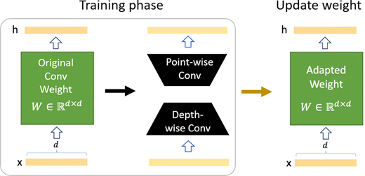 A training phase changes original convolution weight into adapted weight through point-wise and depth-wise convolution paths.