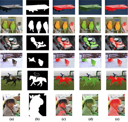 A six-row comparison presents source photographs, reference masks and three segmentation results for an aircraft, birds, a child, dogs, a horse and a person.