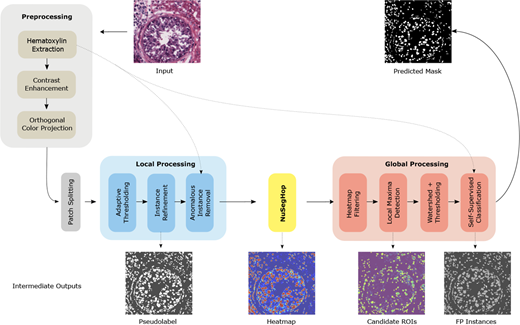 A workflow diagram shows preprocessing, local processing, N u S e g H o p, and global processing steps leading from input images to predicted nuclei masks.