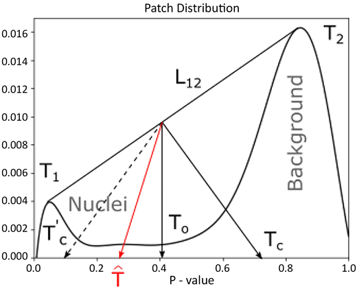 A line chart shows patch distribution across p value with nuclei and background regions separated by multiple threshold points.