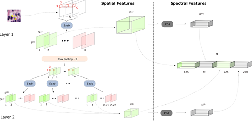 A multi-stage diagram shows spatial and spectral feature extraction using Saab layers, max pooling, and P C A from an input image patch.