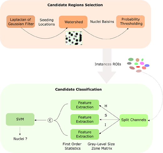 A workflow diagram shows candidate region selection followed by candidate classification for nuclei detection using filtering, watershed, feature extraction, and S V M.