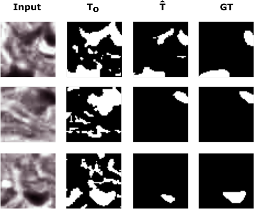 A grid compares input image patches with T 0 masks, T hat masks, and G T masks across three example rows.