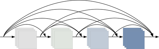 A diagram of densely connected layers showing feature maps with multiple skip connections across successive blocks.