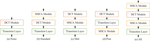 Five configurations showing placements of M S C A Module, D C T Module, and Transition Layer labelled None, Standard, Mid, Post, and All.