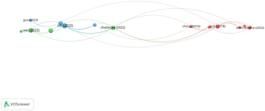 A diagram showing bibliographic coupling among various studies.