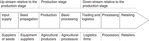Figure 1 Agro-food value chain.